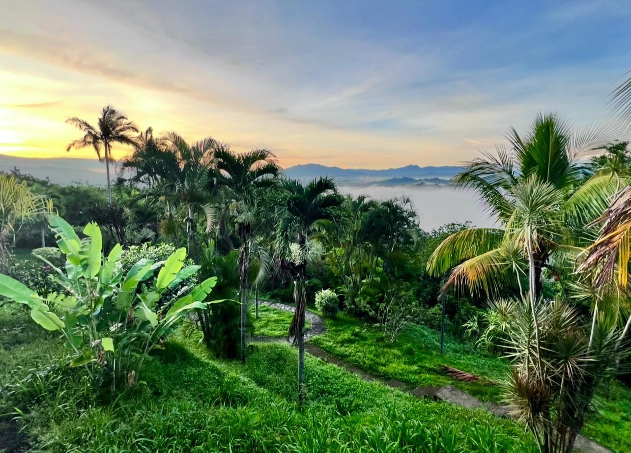 Serene Costa Rica landscape