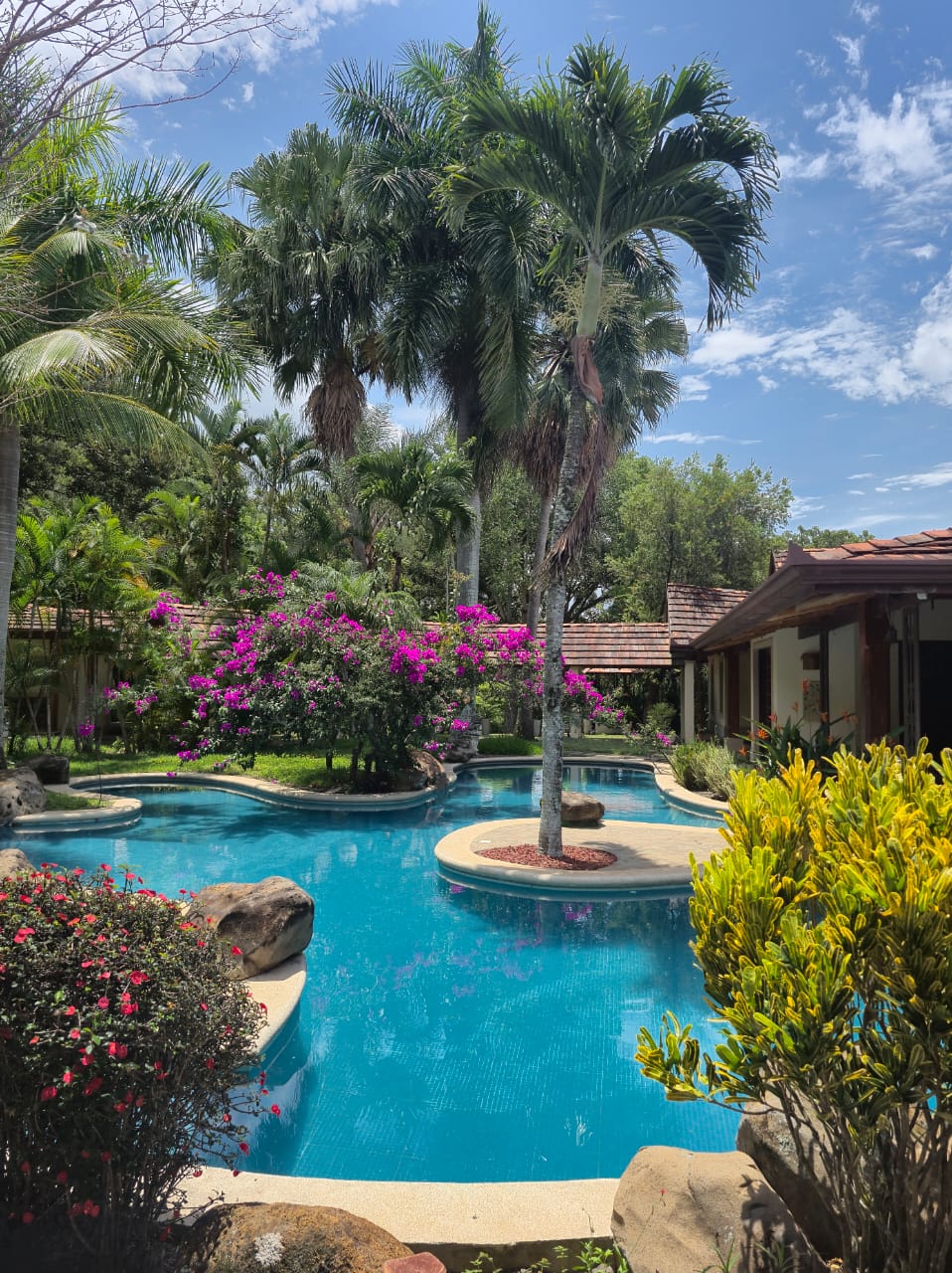 Revela Retreats - the pool and tropical gardens at our Costa Rica sanctuary