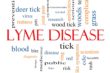 Lyme Disease and Plant Medicine