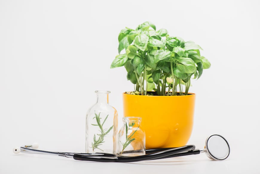 Mastering Your Mind with Plant Medicine
